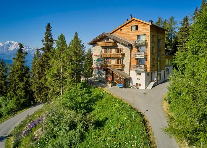 Waldhaus Hotel