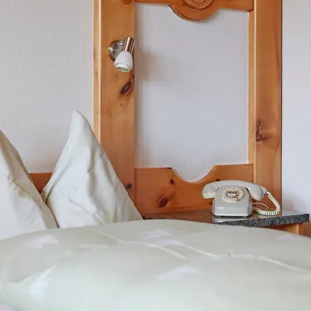 Waldhaus Hotel 3*